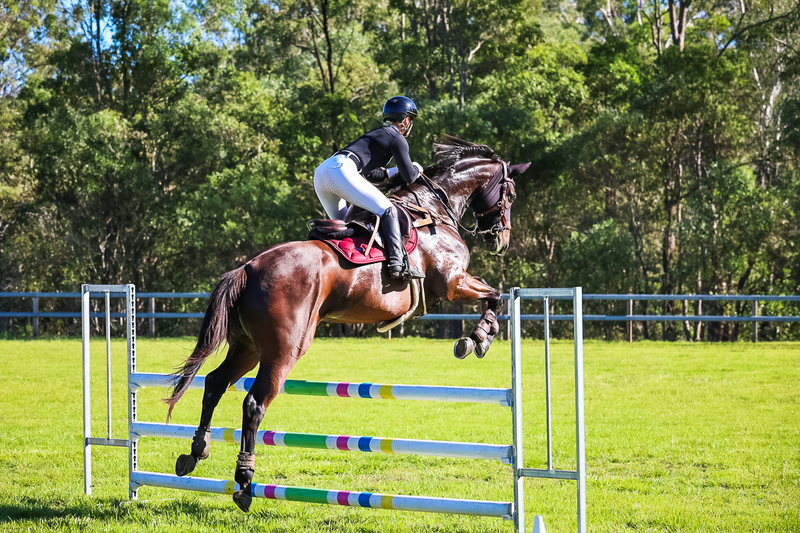 SREC March 2026 95-5719.jpg