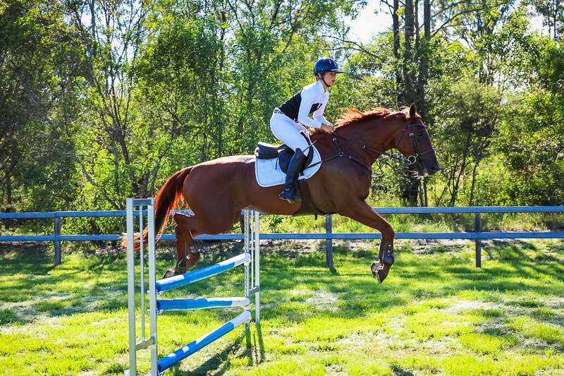 SREC March 2026 95-5740.jpg