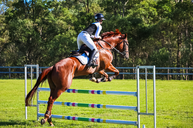 SREC March 2026 95-5745.jpg