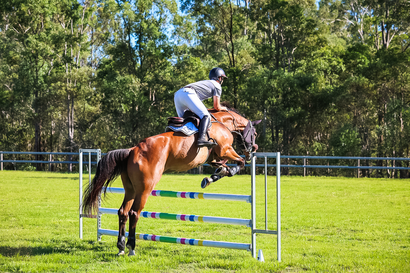 SREC March 2026 95-5776.jpg