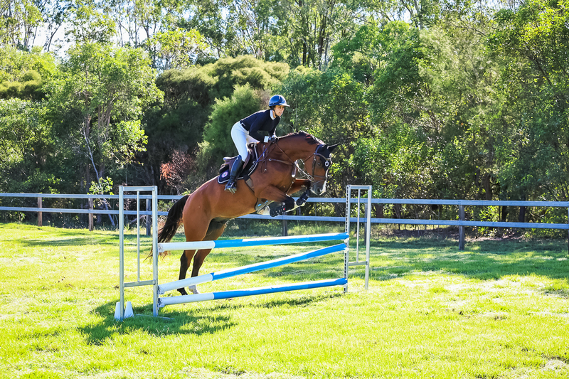 SREC March 2026 95-5795.jpg