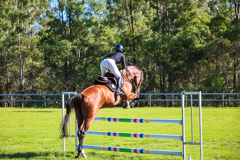 SREC March 2026 95-5803.jpg