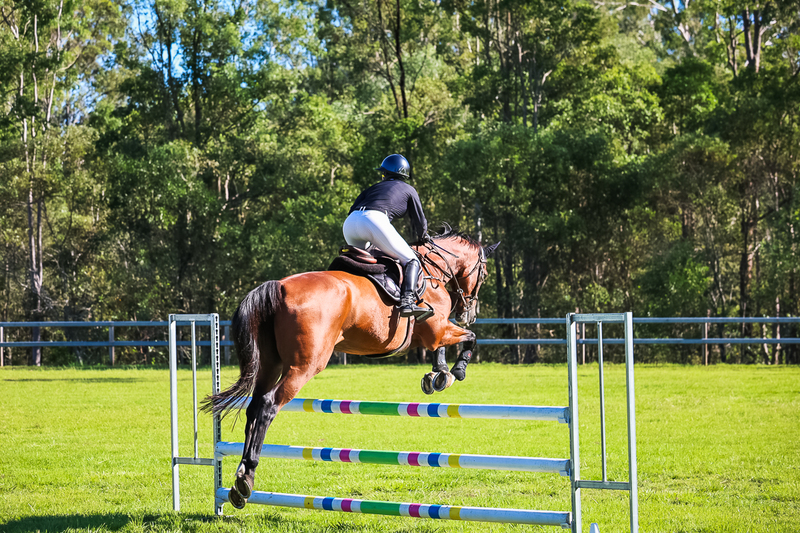 SREC March 2026 95-5804.jpg