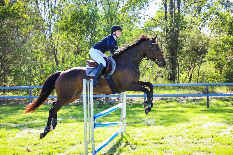 SREC March 2026 95-5839.jpg