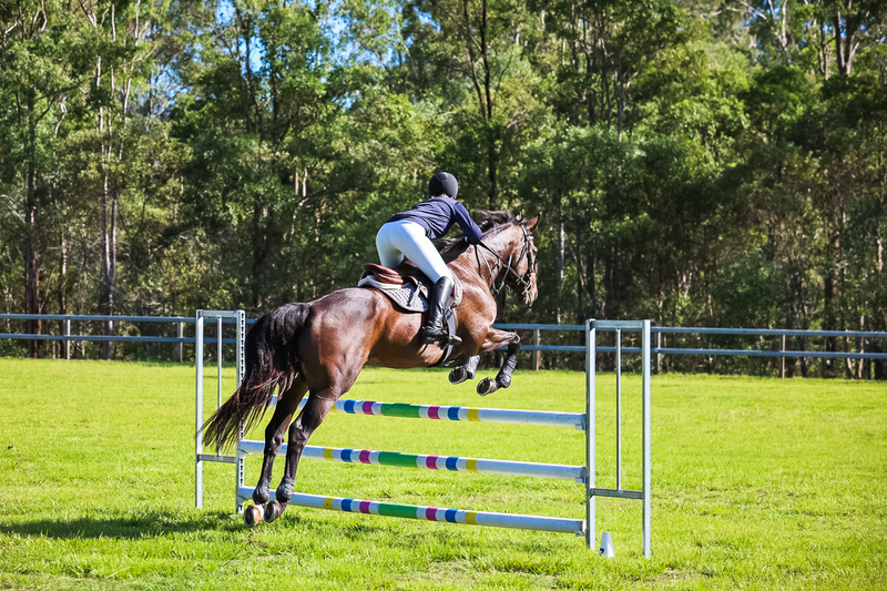 SREC March 2026 95-5848.jpg