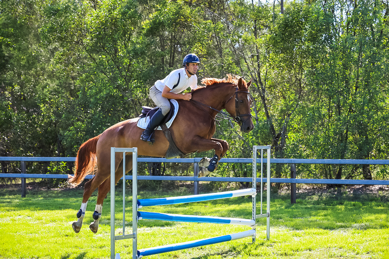 SREC March 2026 95-5891.jpg