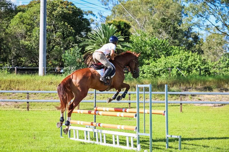 SREC March 2026 95-5894.jpg