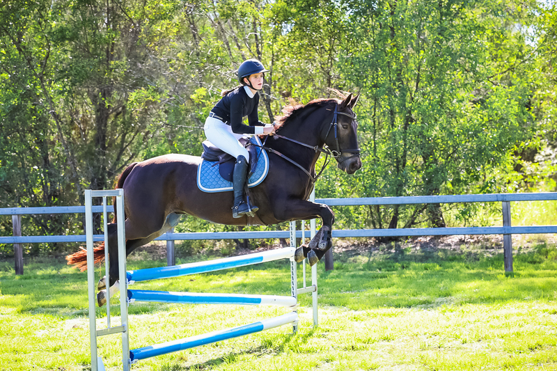 SREC March 2026 95-5915.jpg