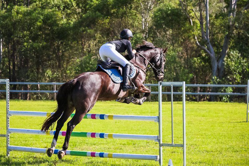 SREC March 2026 95-5922.jpg