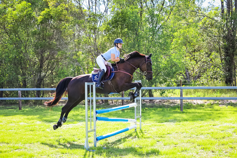 SREC March 2026 95-5943.jpg