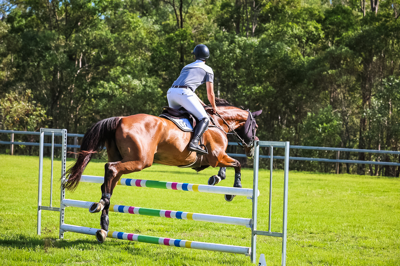 SREC March 2026 95-5975.jpg