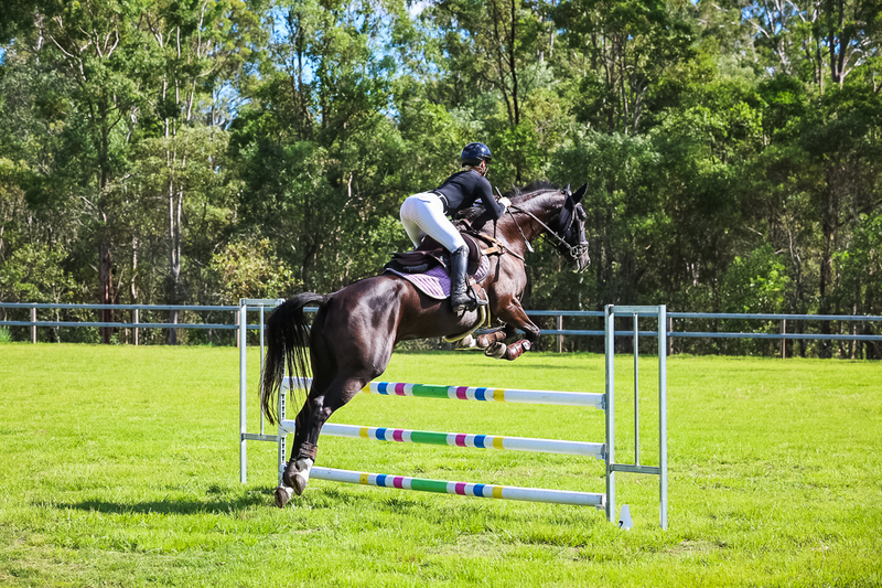 SREC March 2026 95-5999.jpg