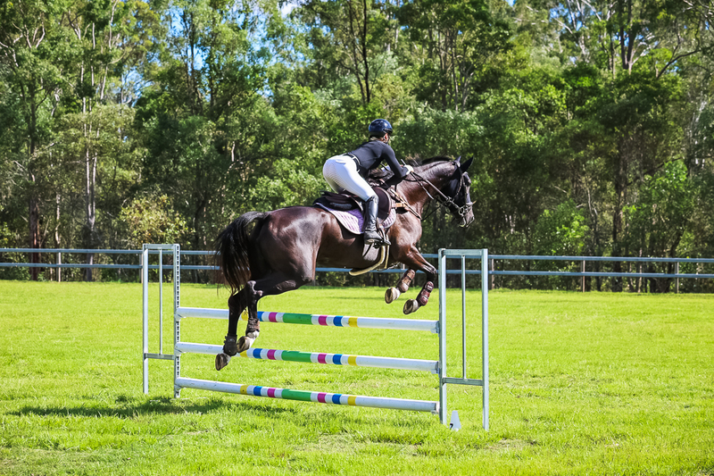 SREC March 2026 95-6000.jpg