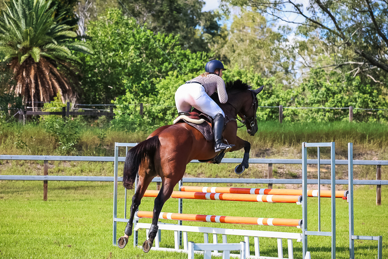 SREC March 2026 95-6027.jpg