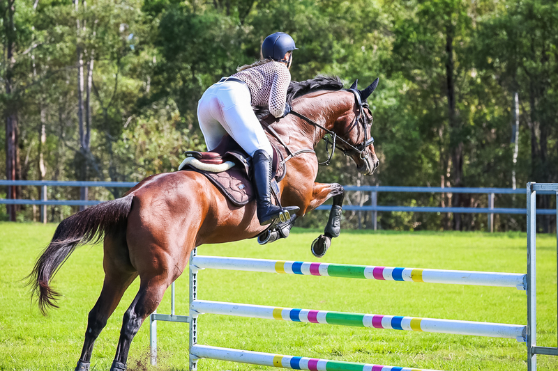 SREC March 2026 95-6031.jpg