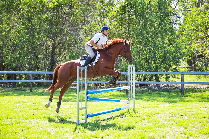 SREC March 2026 95-6051.jpg