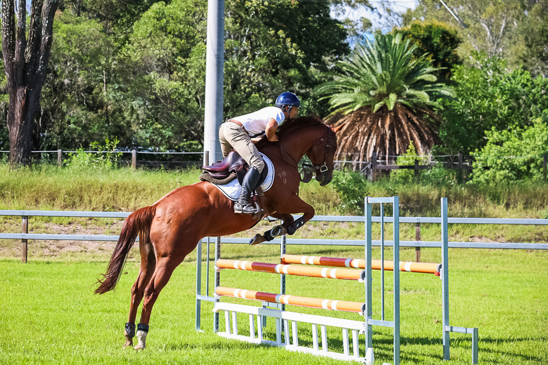 SREC March 2026 95-6053.jpg