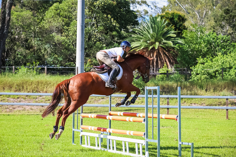 SREC March 2026 95-6054.jpg