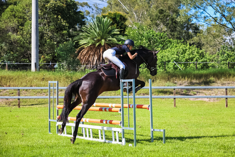 SREC March 2026 95-6095.jpg