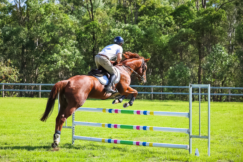 SREC March 2026 95-6117.jpg