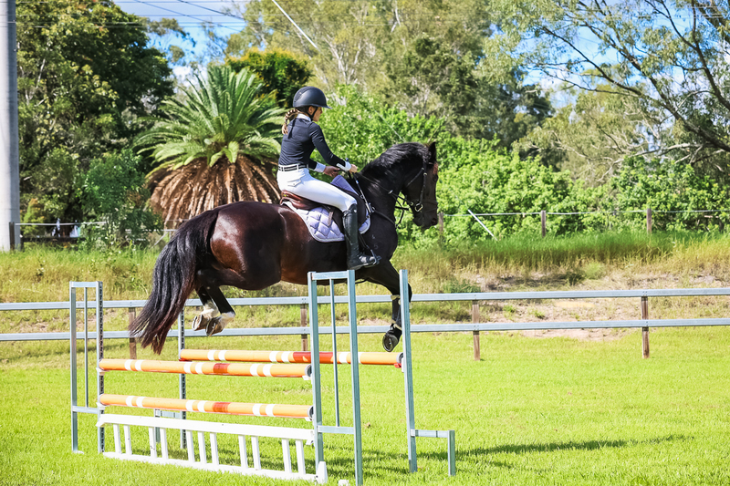 SREC March 2026 95-6136.jpg