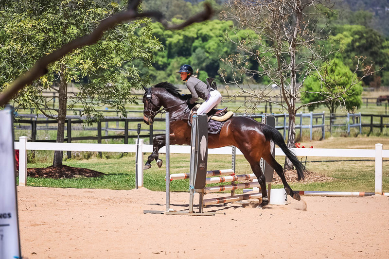 TEG 3DE 2025 SJ 65-4393.jpg