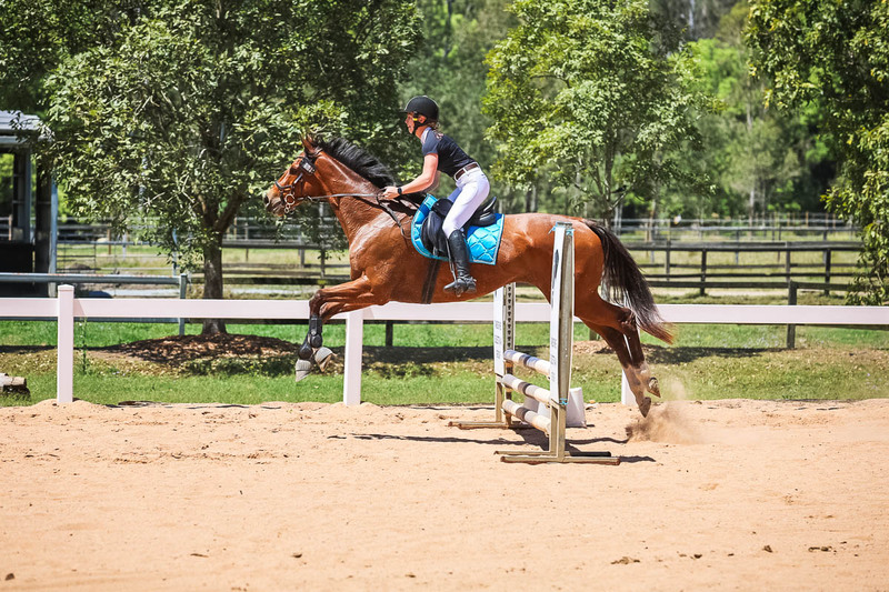 TEG 3DE 2025 SJ 65-4631.jpg