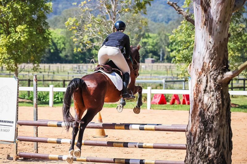 TEG 3DE 2025 SJ 80-3622.jpg