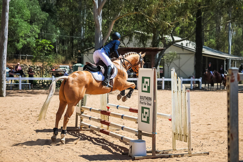 TEG 3DE 2025 SJ 80-3647.jpg