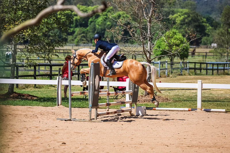 TEG 3DE 2025 SJ 80-3652.jpg