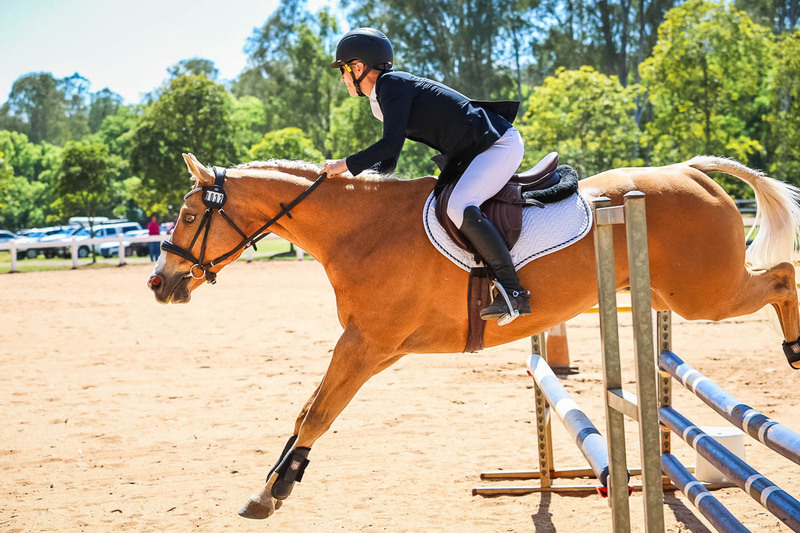 TEG 3DE 2025 SJ 80-3656.jpg