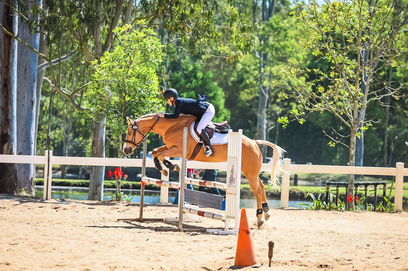 TEG 3DE 2025 SJ 80-3665.jpg