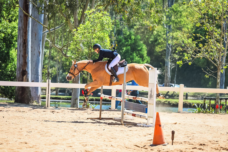 TEG 3DE 2025 SJ 80-3666.jpg