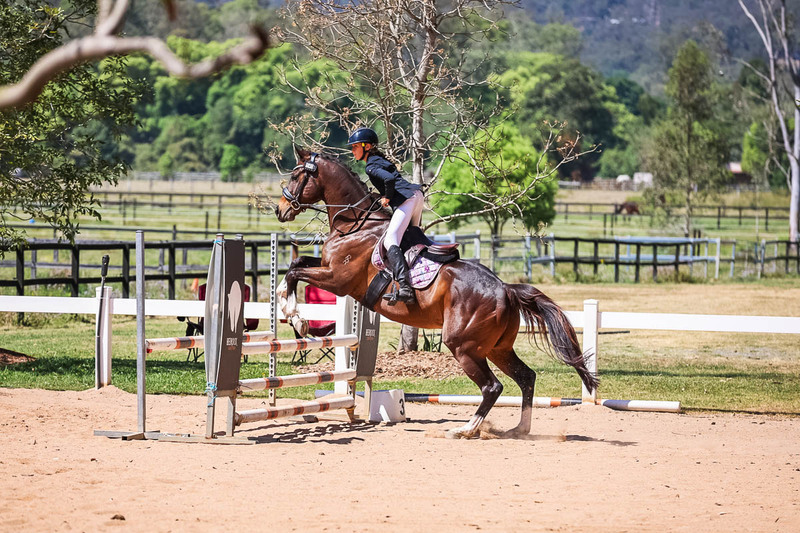 TEG 3DE 2025 SJ 80-3671.jpg