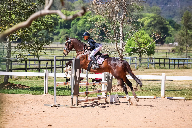 TEG 3DE 2025 SJ 80-3672.jpg