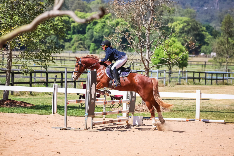 TEG 3DE 2025 SJ 80-3689.jpg