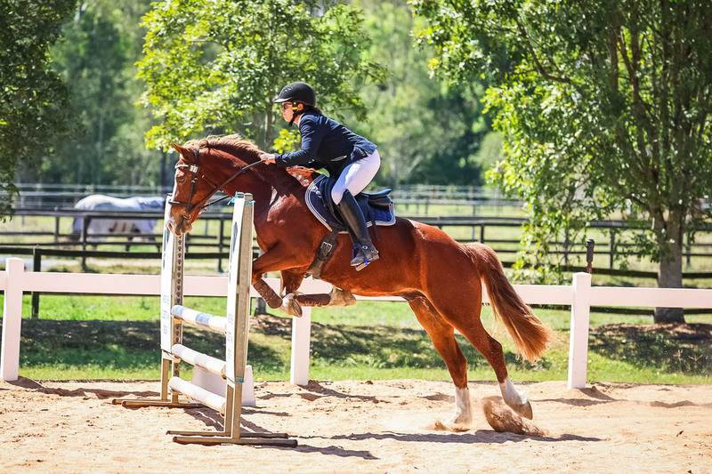 TEG 3DE 2025 SJ 80-3697.jpg