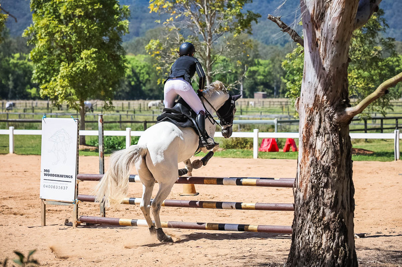 TEG 3DE 2025 SJ 80-3710.jpg