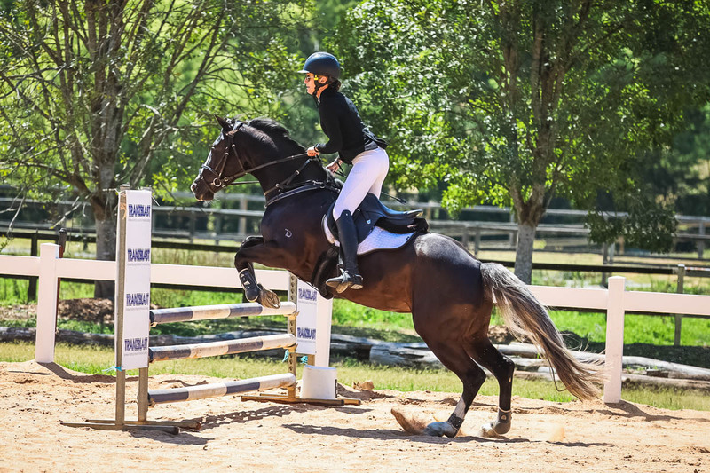 TEG 3DE 2025 SJ 80-3746.jpg