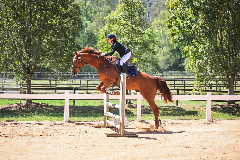 TEG 3DE 2025 SJ 80-3761.jpg