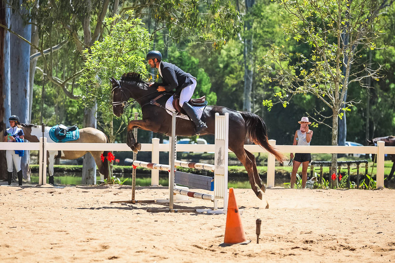 TEG 3DE 2025 SJ 80-3782.jpg