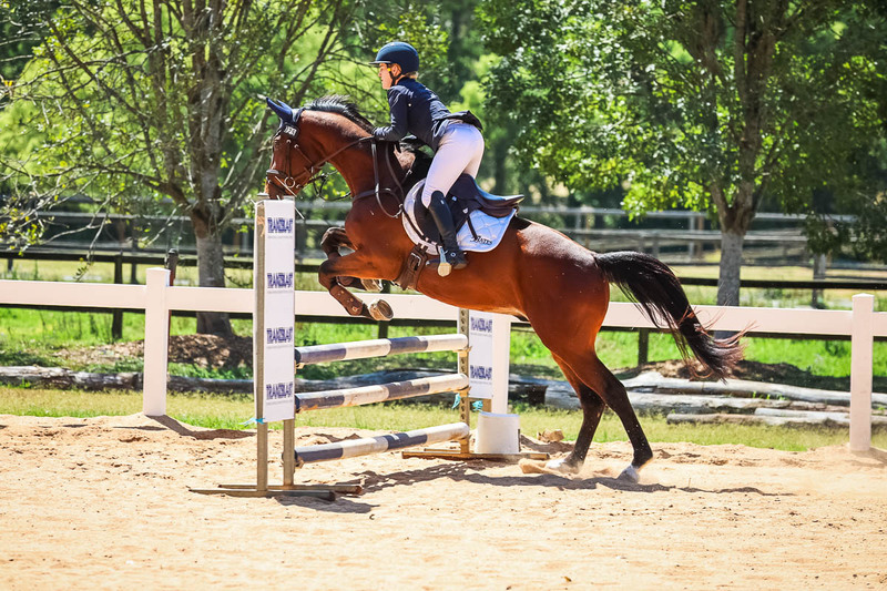 TEG 3DE 2025 SJ 80-3797.jpg