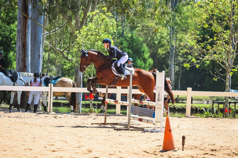 TEG 3DE 2025 SJ 80-3800.jpg