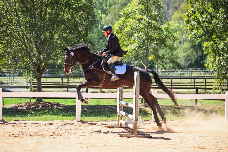 TEG 3DE 2025 SJ 80-3814.jpg