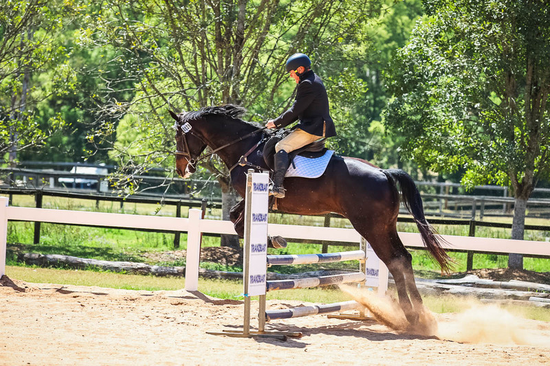 TEG 3DE 2025 SJ 80-3815.jpg