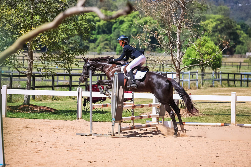 TEG 3DE 2025 SJ 80-3824.jpg