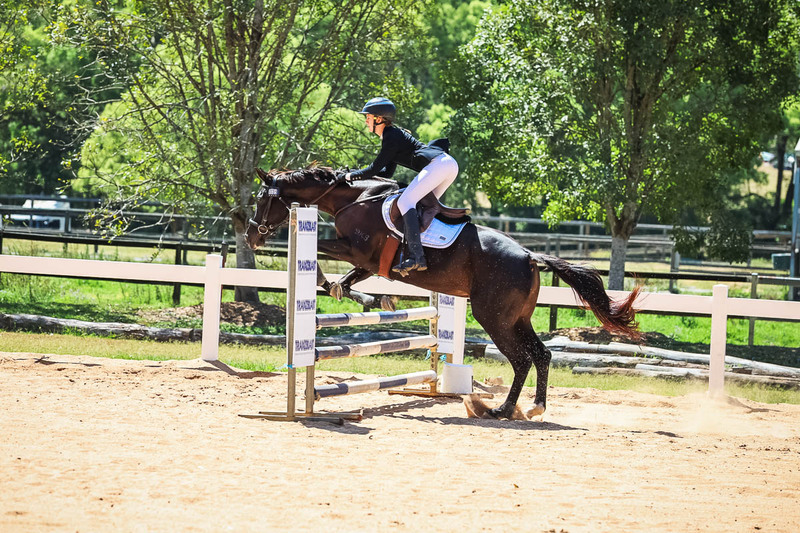 TEG 3DE 2025 SJ 80-3833.jpg