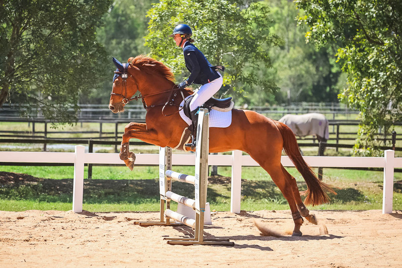 TEG 3DE 2025 SJ 80-3868.jpg