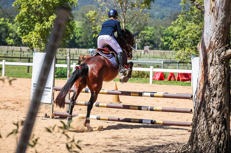 TEG 3DE 2025 SJ 80-3883.jpg