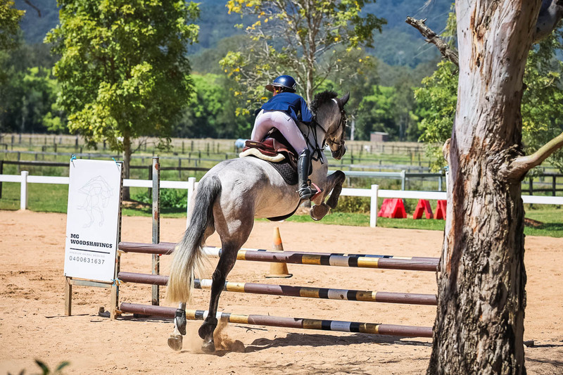 TEG 3DE 2025 SJ 80-3901.jpg